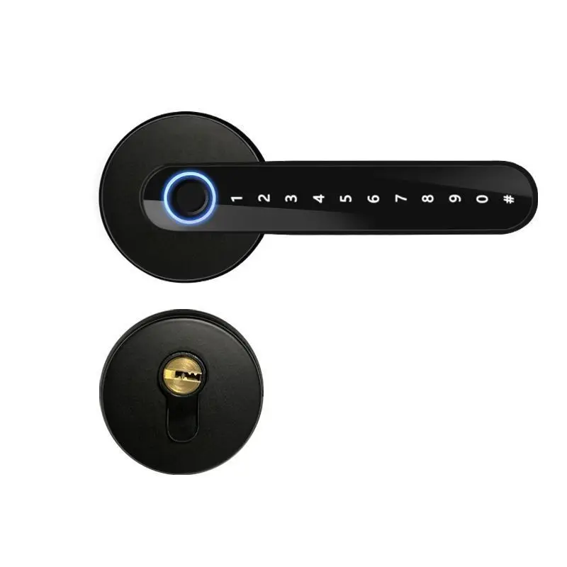

Бесключевой дверной замок с функцией распознавания отпечатков пальцев, умный замок для офисных дверей, замок для деревянных дверей в доме.