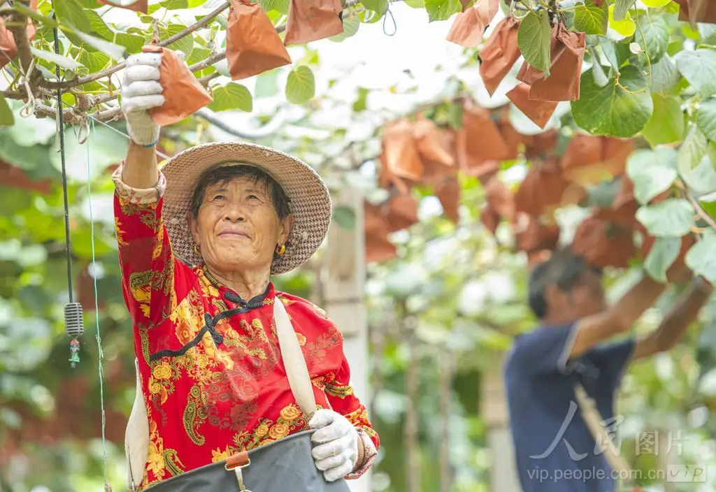 

2.2-дюймовый колесный диск с бедлоком для радиоуправляемых моделей 1/8 Wraith 90018 90053 90048 Hammer Rey 4WD TRX-4 TRX-6 SCX10 D90
