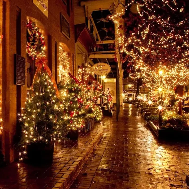 8 Modes Waterproof LED String Lights Warm White Fairy Lights For Christmas Wedding Garden Patio Party Outdoor Holiday Decor