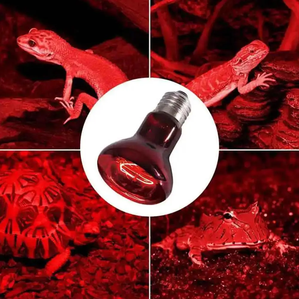 Bombilla de lámpara de calor para reptiles, foco infrarrojo de 25-100W, lámpara de calefacción roja para mascotas, lámpara de serpiente anfibia, bombillas de calor para reptiles