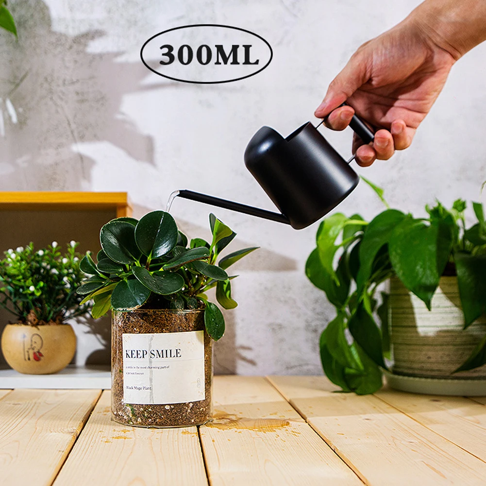 

300ML Watering Can For Indoor Plants Flower Watering Can Stainless Steel Long-Stem Spout Small Watering Kettle