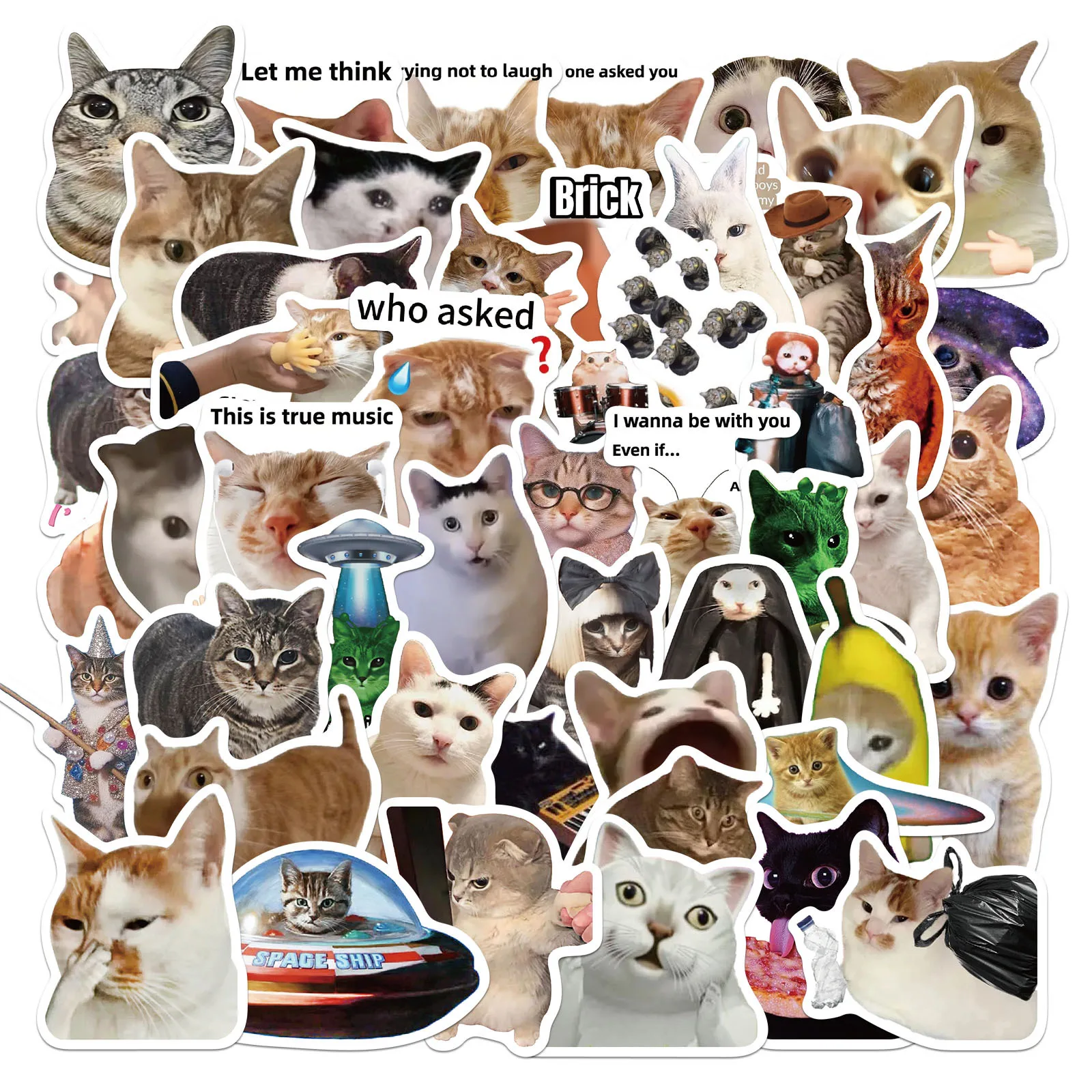 50PCS Funny Cute Cat MEME Animal Stickers Waterproof PVC DIY Graffiti Decal for Laptop Cup Phone Case Notebook Suitcase Kids Toy