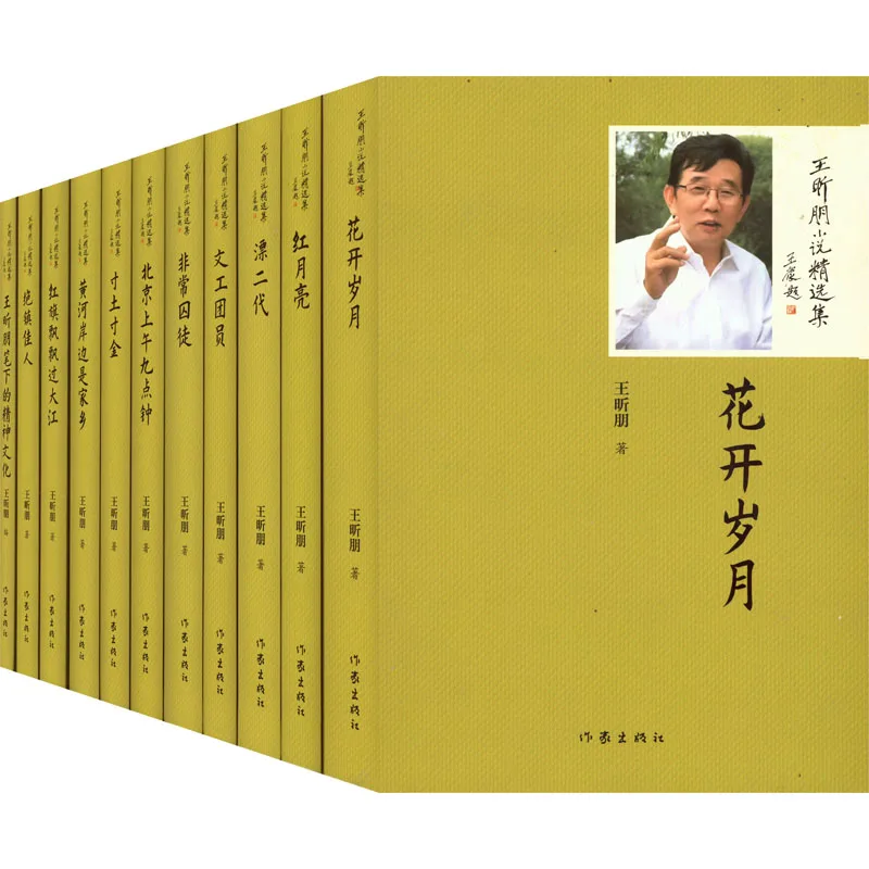 Collection of Novels by Wang Xinpeng (Hardcover)