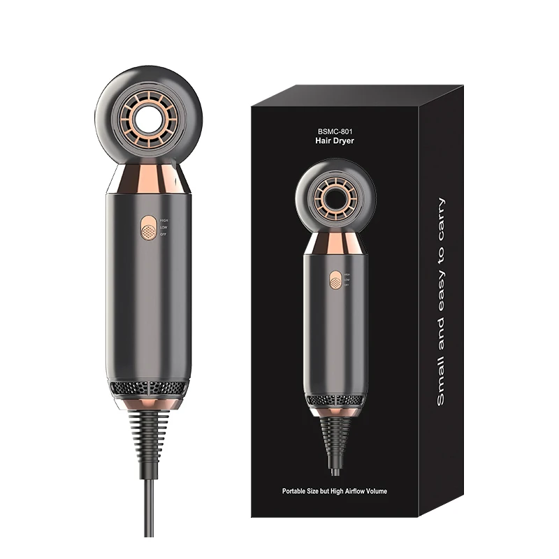 Hot Sale Mini Blow Dryer 800W Constant Heat Control Hairdryer Protect Hair Dryer Professional Salon