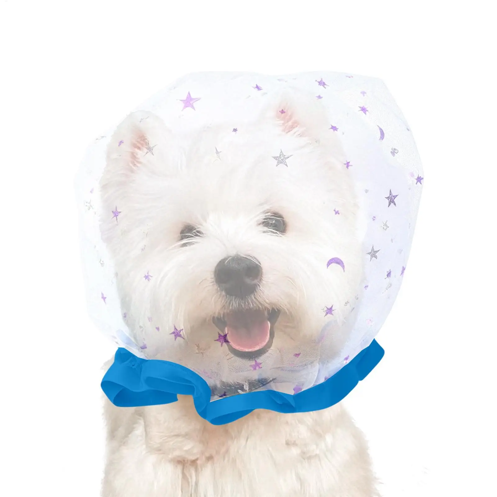 Anti-Scavenging Pet Muzzle Breathable Mesh Secure Fit Training Mouth Mask Adjustable Dog Cat Muzzle Comfortable Anti-Bite Guard