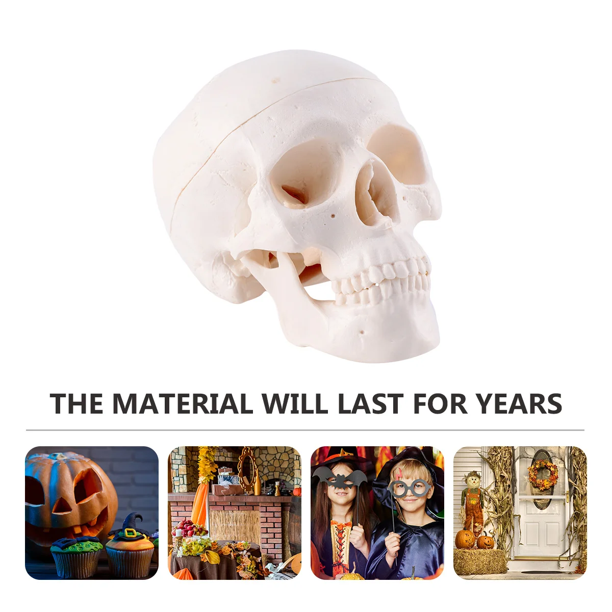 

Halloween Creative Skull Decor Human Prop Realistic Bone-Like Pvc Skull Head Ornament For Parties Horror