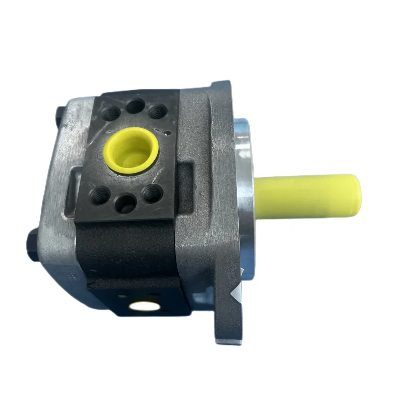 

IPV IPVP IPC IPN IPM IPNL Series High Pressure Hydraulic Gear Pump IPVAP 4-13 171