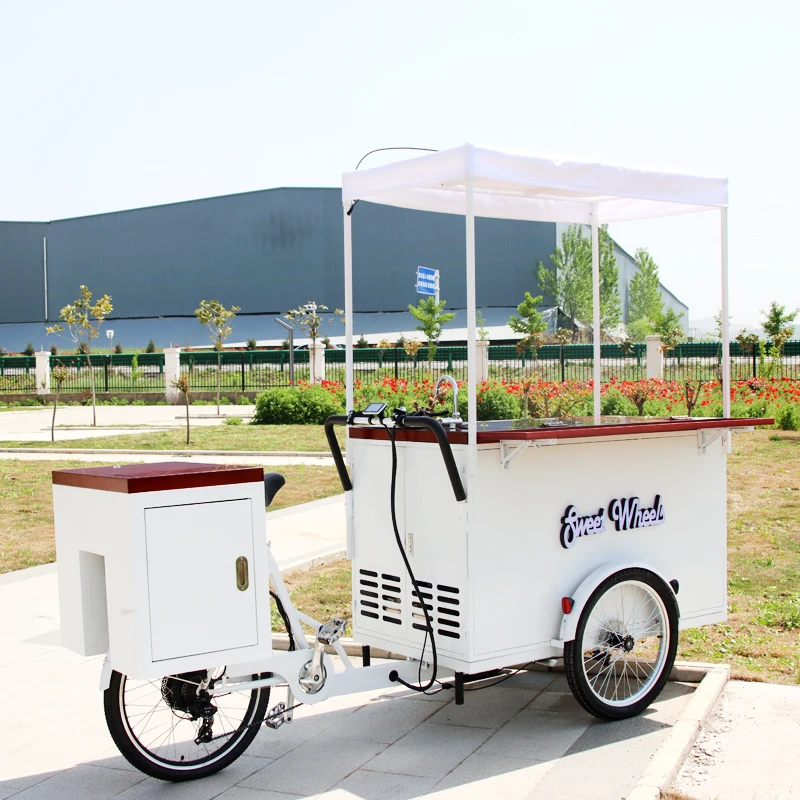 Camión de bebidas para helados eléctrico de 3 ruedas de 500 vatios de nuevo diseño con congelador solar CC de 258 litros para hacer hielo