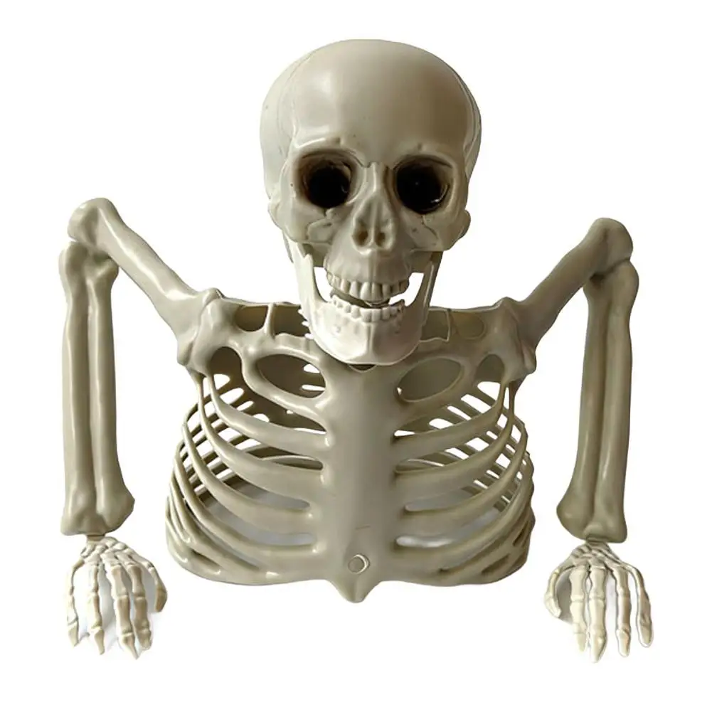 Skeleton Bone Ornament With Movable Joints For Outdoor Yard Hallway Party Decoration Horror Props Holiday Scarry Home Supplies