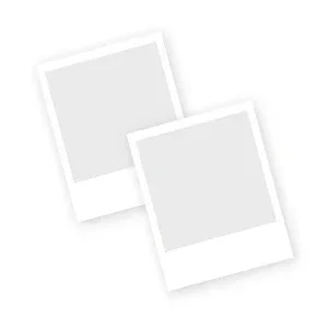 65Qt Auto Pet Dryer Box - Quiet Smart Blower for Cats & Small Dogs | Gentle Warm Air & Timer | After Bathing & Grooming