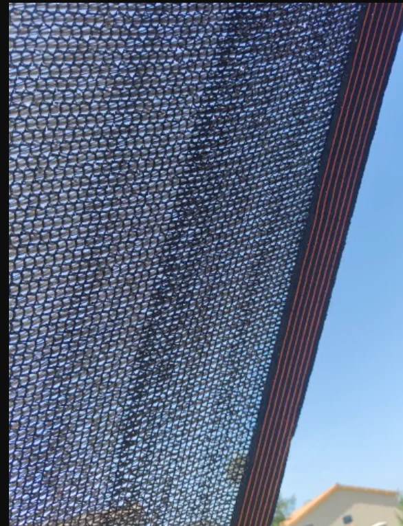 3/6/12 Pin Anti-UV Black HDPE Sunshade Net Garden Succulent Plant Shading Net Outdoor Swimming Pool Cover Sun Shade Net