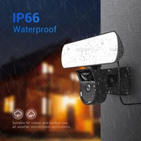 1080P HD WIFI IP66  Dual Light Source Color Night Vision Camera Monitor Lamp Two-in-one Courtyard Camera