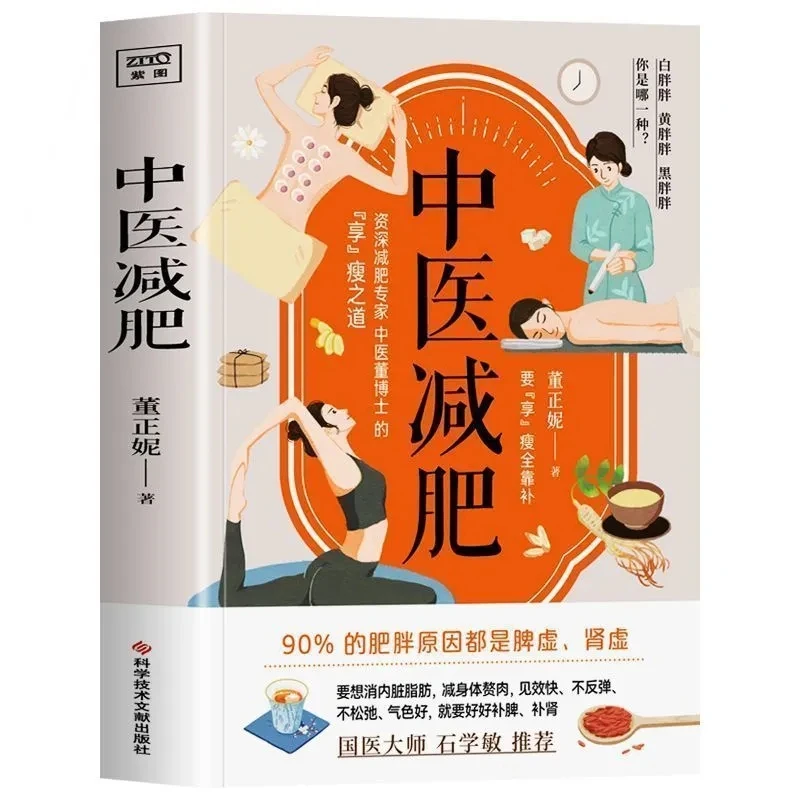 TCM Weight Loss: Spleen & Kidney Toning for Lasting Fat Loss – Lose Visceral Fat Without Rebound