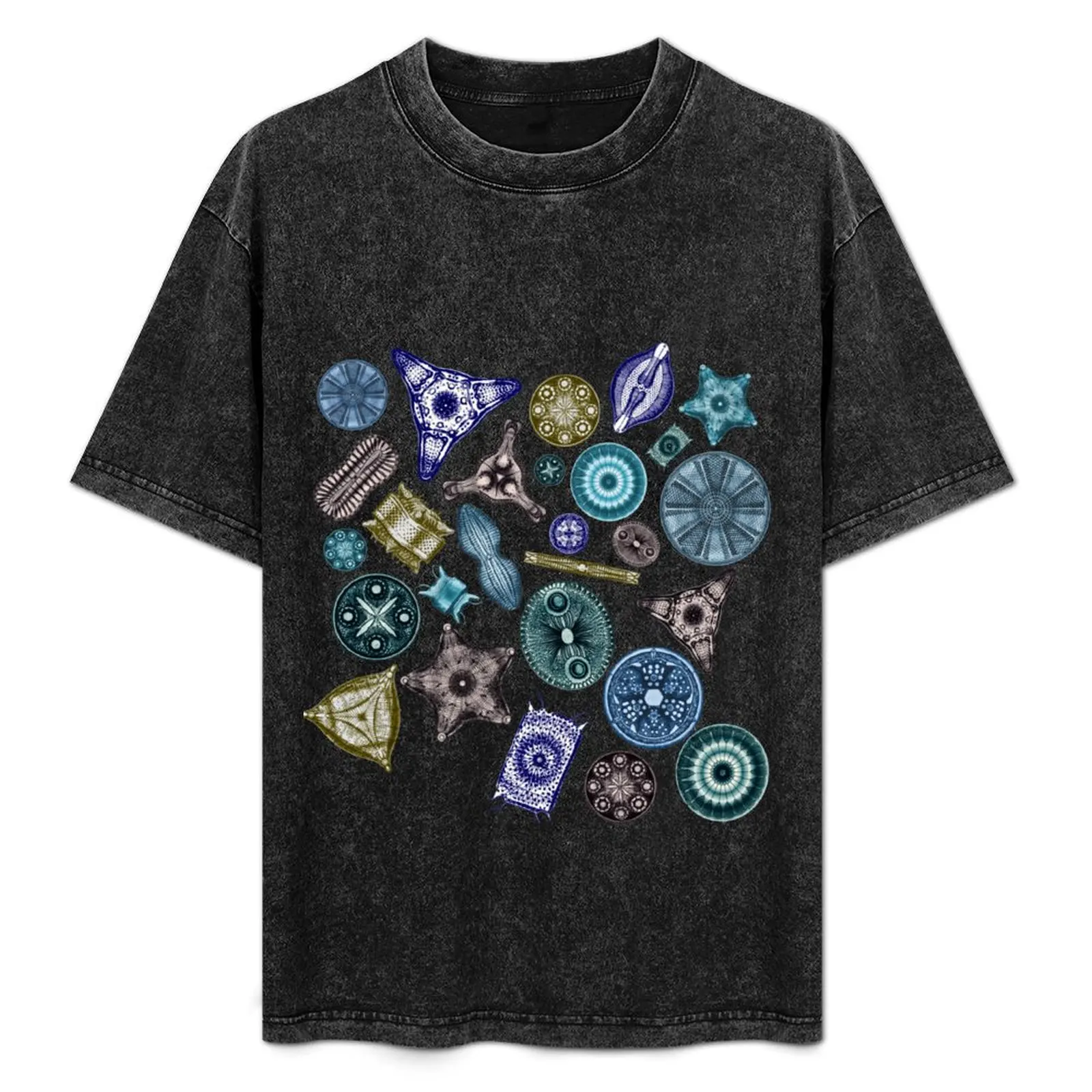 Ernst Haeckel Diatoms Tossed in Sea Hues T-Shirt cute clothes plus size clothes baggy shirts mens designer clothes