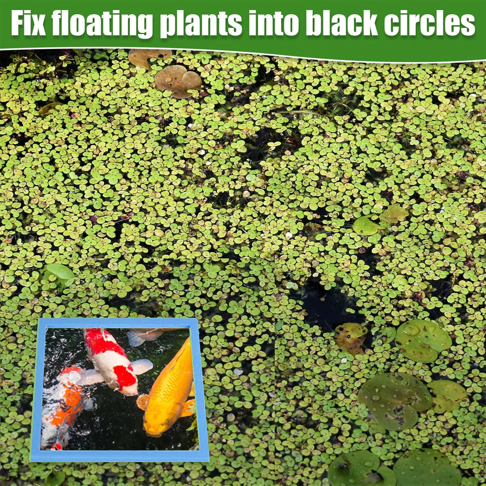 Fish Tank Grass Blocking Rings Set, Fish Tank Floating Plant Rings, Aquarium Floating Plant Trough, for Fish Tank Accessoies