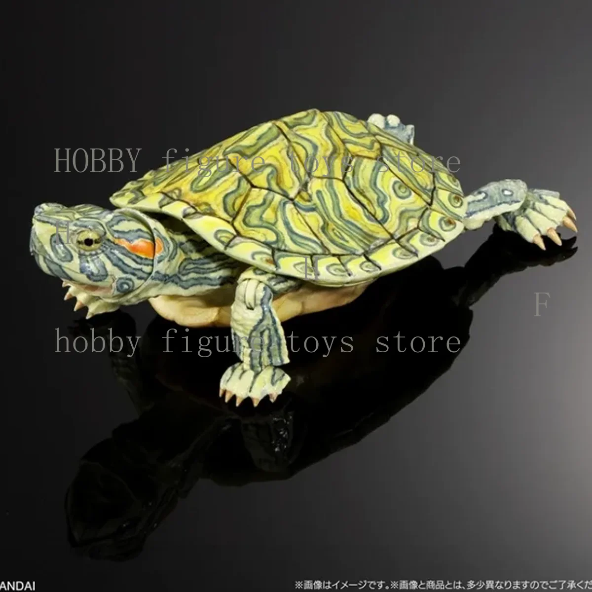 Bandai Original Gashapon Biological Atlas Anime Figur Turtle 02 Bewegliche Schildkröte Anime Actionfiguren für Hobby Kinder Modell Geschenke