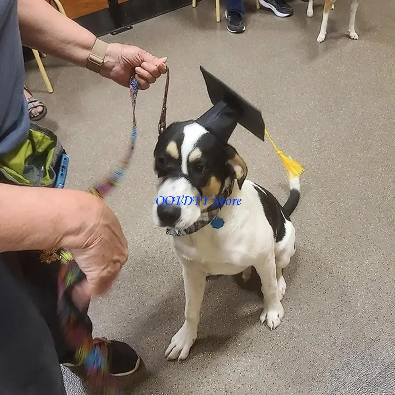 367A Dog Graduation Cap and BowTie Set with Yellow Tassels for Pet Celebration Safe Design