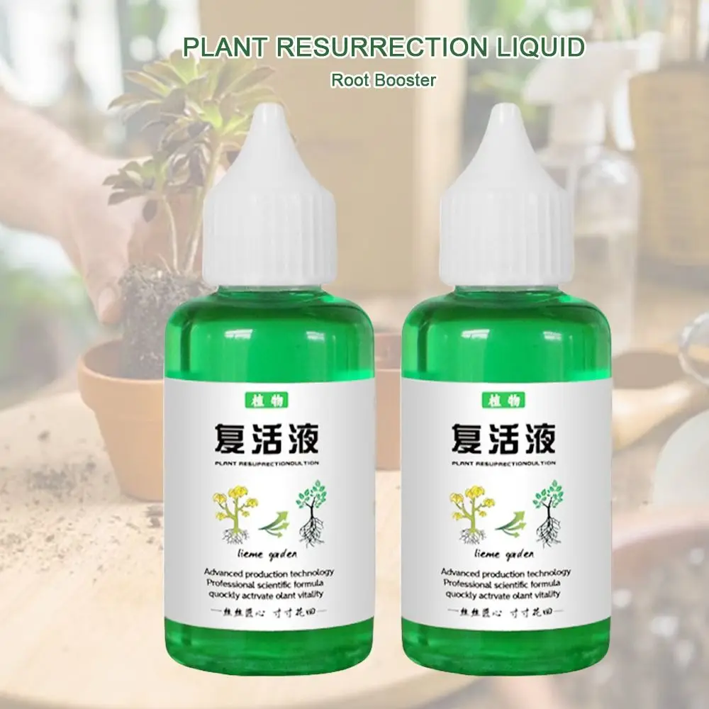 

Efficiently Root Stimulator Plant Resurrection Liquid Liquid Vegetable Fertilizer Root Booster Succulent 50ml Rooting Nutrient