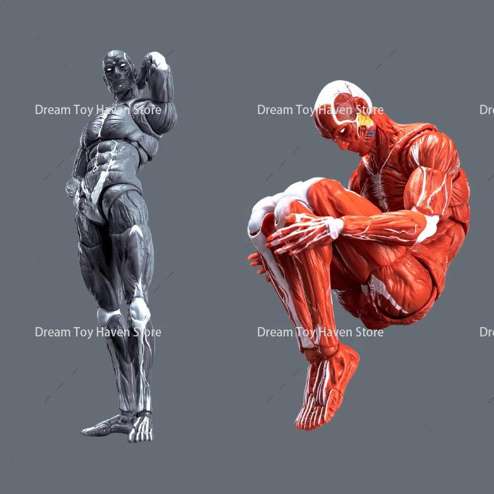 

Храните в масштабе 1/12 мужской солдат ‌ Модель человеческих мышц, 6-дюймовая экшн-фигурка, куклы, супер подвижный сустав, коллекция мышечных тела, игрушки