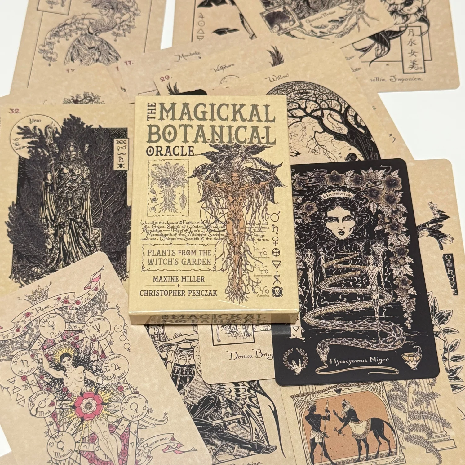 33 cartes d'oracle botanique magiques, cartes de plantes du jardin de la sorcière, 10x6,5 cm
