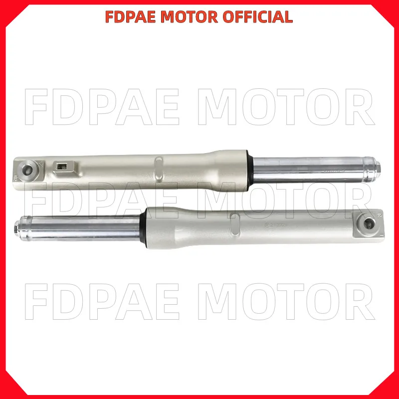 Front Shock Absorber Assembly for Wuyang Honda Wh100t-h-f-g-l-m-n-3