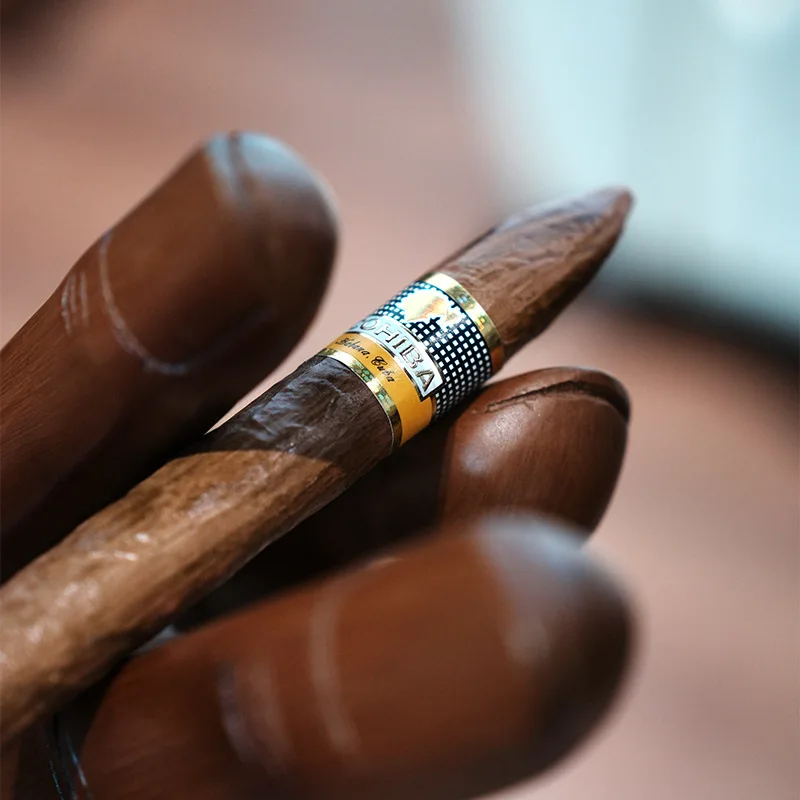 

Реалистичные смоляные копли для сигар — искусственные сигары для фотографии, демонстрации и декора (объемный запас)