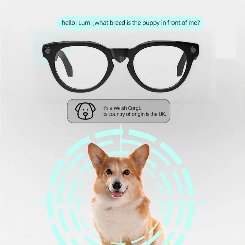 Occhiali da sole intelligenti da donna per uomo Occhiali da sole wireless impermeabili in più lingue Sport all'aria aperta Occhiali per traduzione vocale con fotocamera