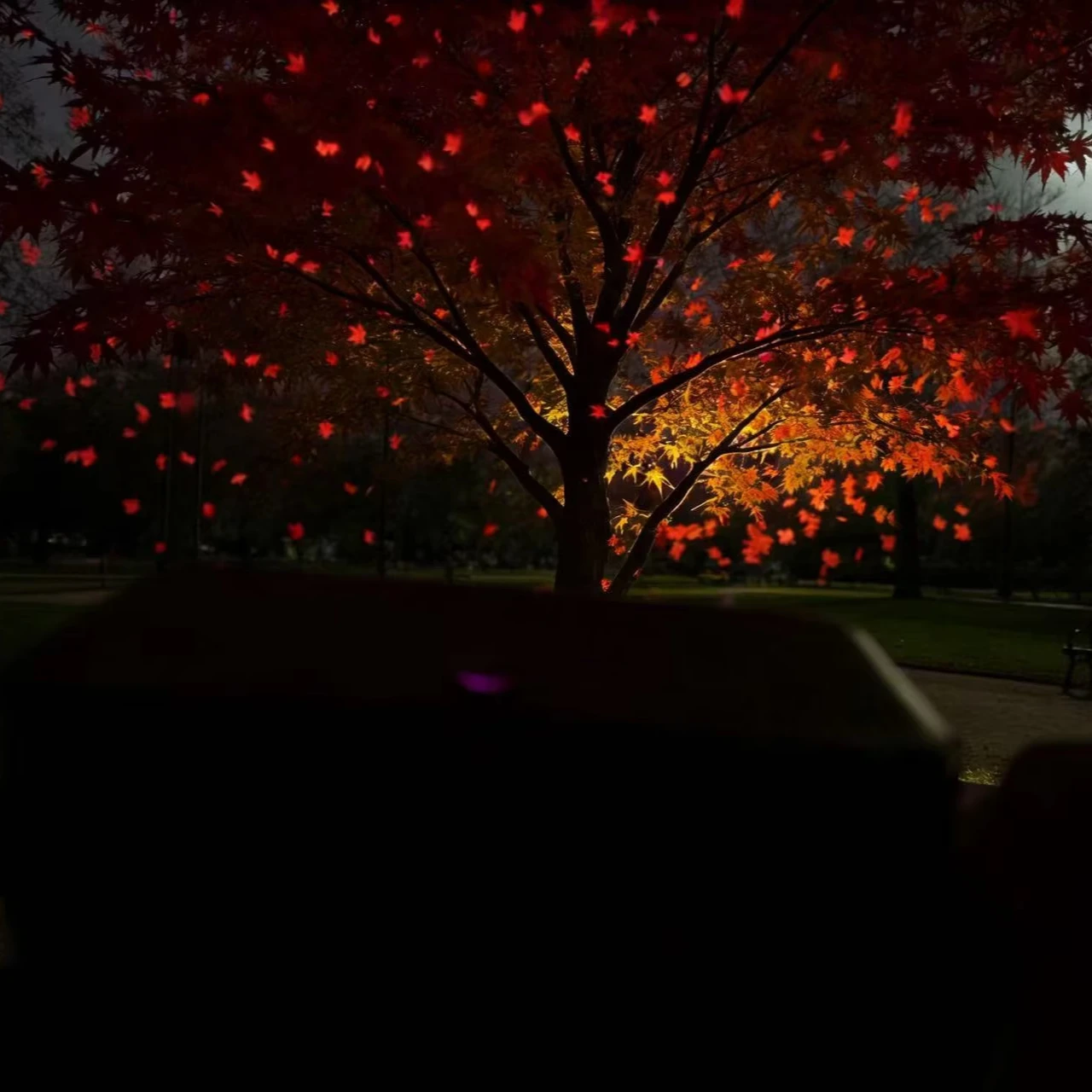 Professional Projector Light for Outdoor Camping MultiPattern Strong LED Remote Control USB Powered Easy Plug Play Setup