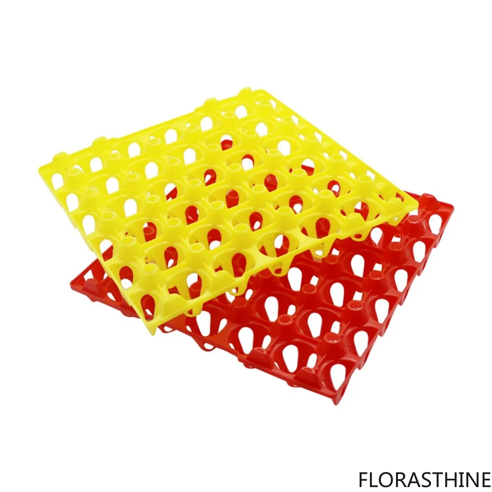 10 Pcs Egg Tray 30 Eggs Zstorage Rack Chicken Farming Incubator Equipment Storage Egg Tray 29x29x 5cm