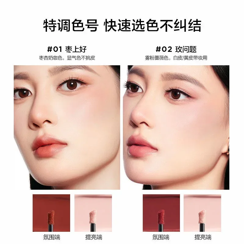 DIARY parfait Double tête crème Blush multi-usages crème lèvres glaçure extensible couleur éclaircissante Blush