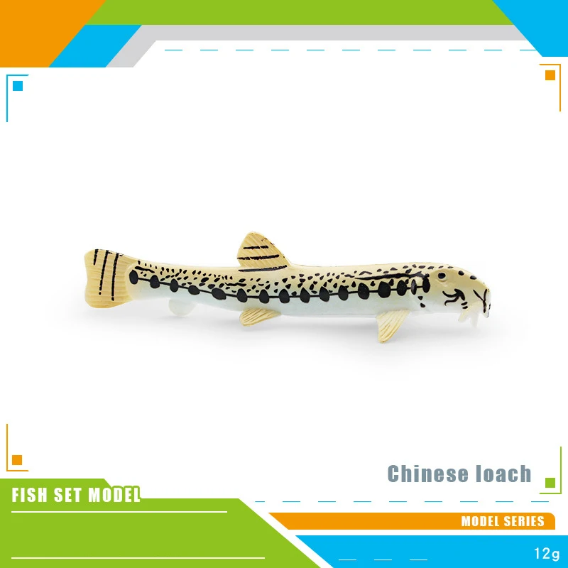현실적인 동물 장난감 물고기 모델 중국산 로치 코비티스 시넨시스 PVC 피규어 장식품 집/사무실 장식 수집용 장난감