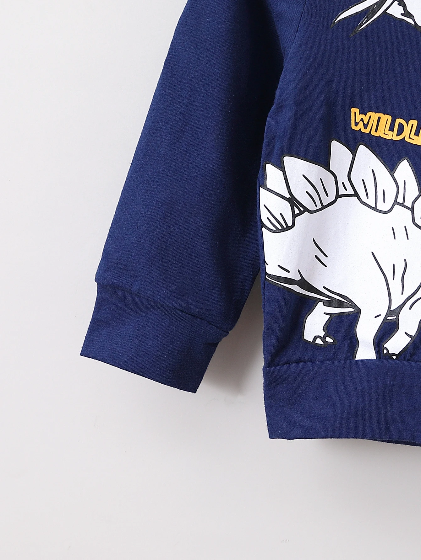 ربيع الخريف الاطفال ديناصور طباعة هوديي وسراويل قطعتين مجموعة كول عادية طباعة كاملة ديناصور نمط الجانب الأبيض المشارب