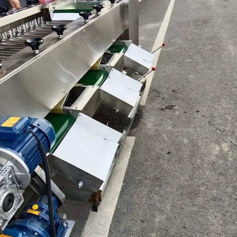 Automatic Fruit and Vegetable Size Sorting Grading Machine Carrot Sorting Machine Fruit Sorting Machine