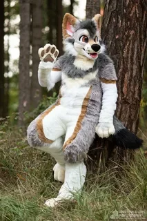Grey and White Husky Dog Fox Brown Fursuit Mascot Costume Long Fur Adult Fancy Party Dress for Halloween Show