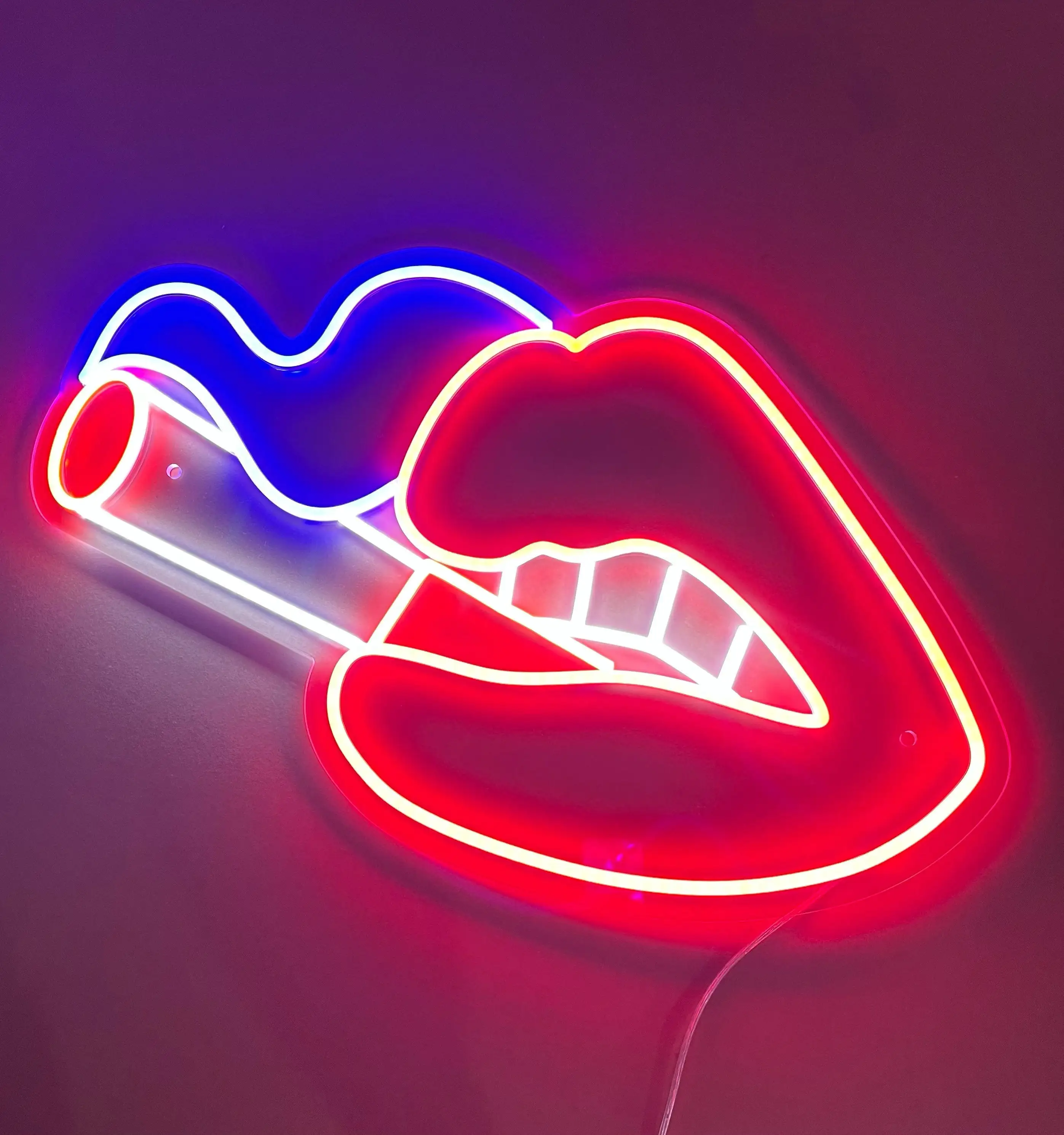 Lips Smoking Liquid Neon Sign Handcrafted Neon Light for Home Room Decor Bar Neon Wall Art Sexy