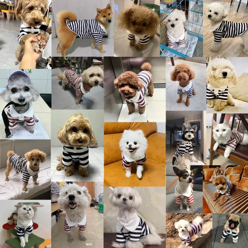 Fashion Pet Dog Striped Shirt Summer Puppy Clothes Cute Cat Vest Breathable Dog Thin Shirt Pet Kitten Clothing Chihuahua Clothes