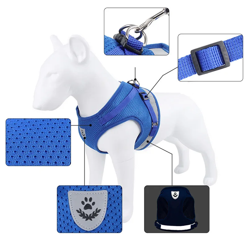Thumbnail 2 - #44 Budget Puppy Leads for Smart Shoppers