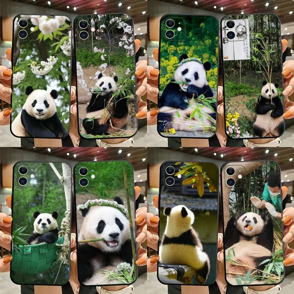 

Cute Fubao panda Phone Case For iPhone 15,14,13,12,11,Plus,Pro Max,XS,X,XR,SE,Mini,8,7 Soft Silicone Black Cover