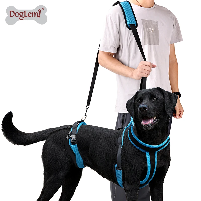 Pets Dogs Protective Aid Auxiliary Device Leashes for Be Injured Physical Disability Dog Old Dog Assistive Belt Pet Accessories