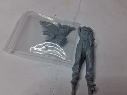 Buyer photo of this resin kit