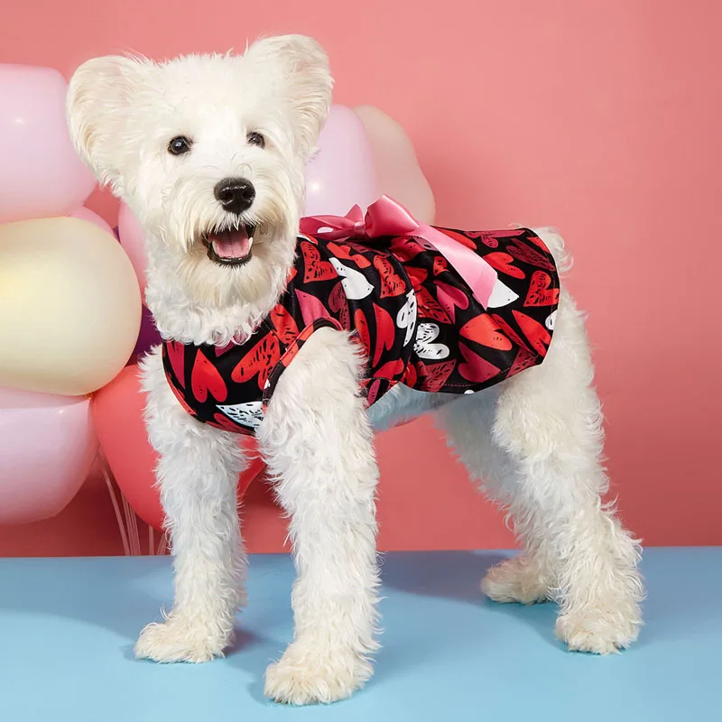 Pet Dogs Princess Dress, Heart Print Tie-up Dog Costume Valentine’s Day Party Styling Clothes