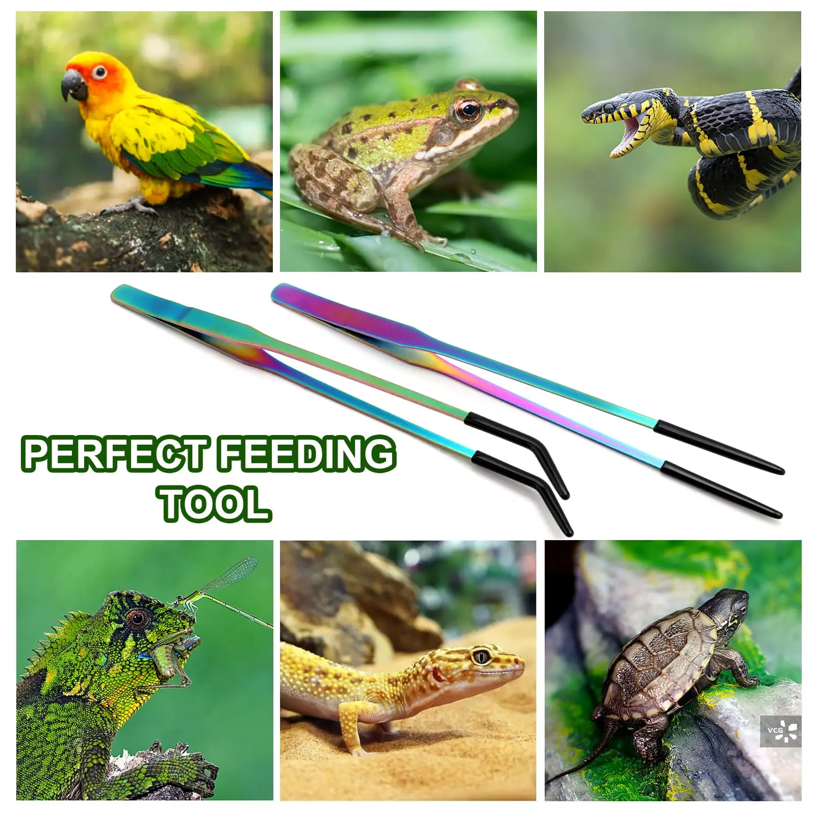1/2 Stück Edelstahl-Reptilienfutterzange mit Gummispitze – 10,6 Zoll gerade und gebogene Pinzette für Aquarien und Bastelarbeiten – Detail 9