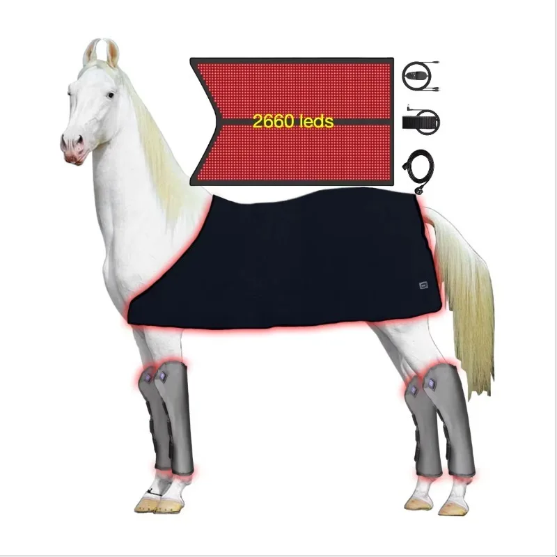 Red Light Therapy Equine Horse Infrared Cordless Boots Bell Blanket Panel Solarium Wrap Head Hoof Stifle Full Body Devices