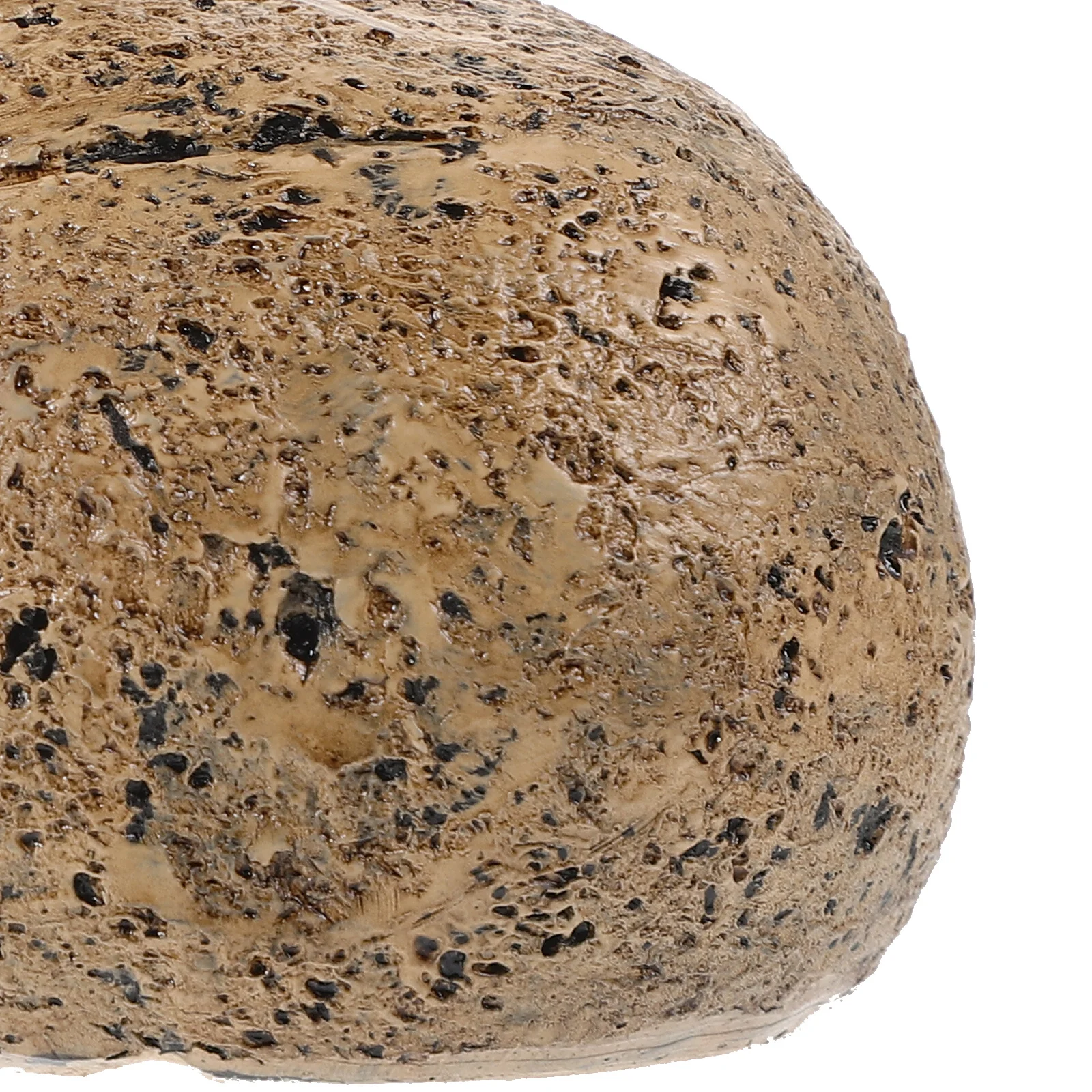 

Outdoor Turtle Stone Resin Key Hider Garden Storage Box Hidden Key Holder Yard Decor Garden Storage Box Turtle Decor