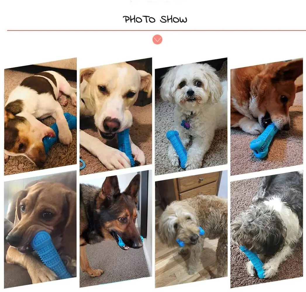 Bone Shape Chew Toys for Dogs, Pet Molar, Tooth Cleaning, Brushing Stick, Toothbrush, Doggy, Puppy, Dental Care, Pets Supplies