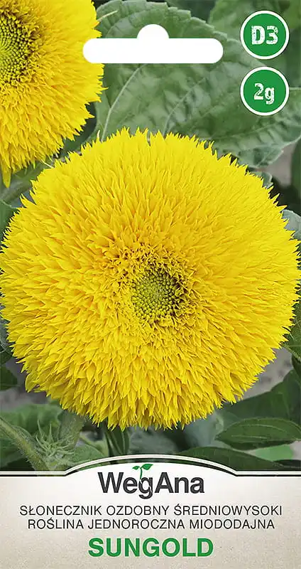 Semillas de sol de jugo medio ornamental de girasol 2G Semillas de flores de VegAna