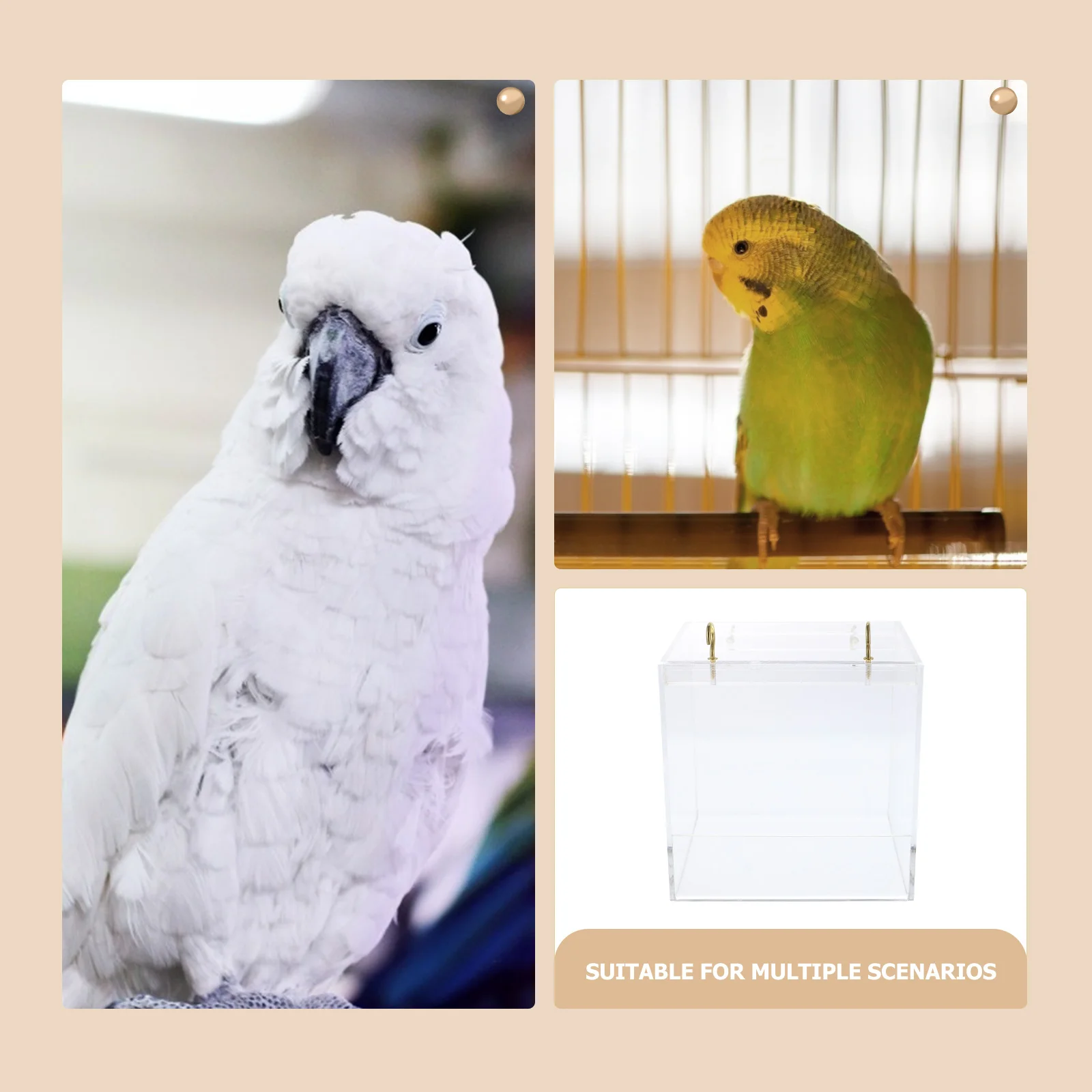 

Parrot Bath Tub Bird Shower Box Acrylic Basin for Cage Accessories Reusable Transparent Sand Bath Practical Supplies