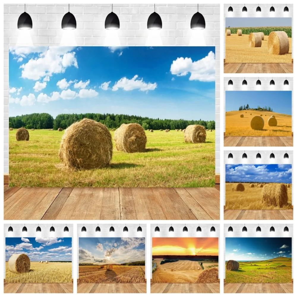 

Blue Sky, Sky, Clouds, Outdoor Autumn Scene Theme Banner Background, Farm Bundling Hay Pile, Birthday Party Photography Backdrop