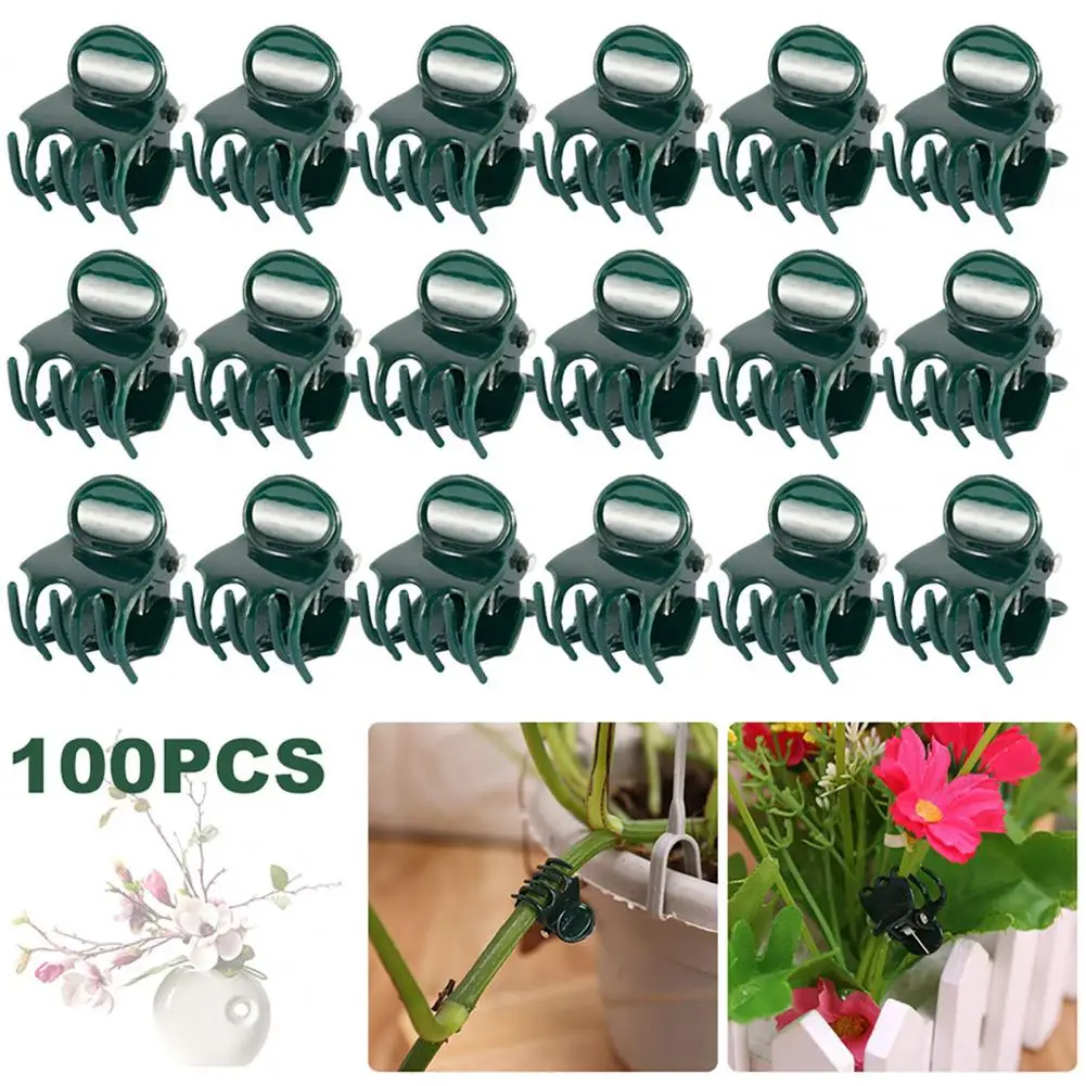 Plant Clips for Climbing Plants Plant Support Clips for Orchids Flowers Vines Easy to Use Gardening Fixing Clamps for Healthy