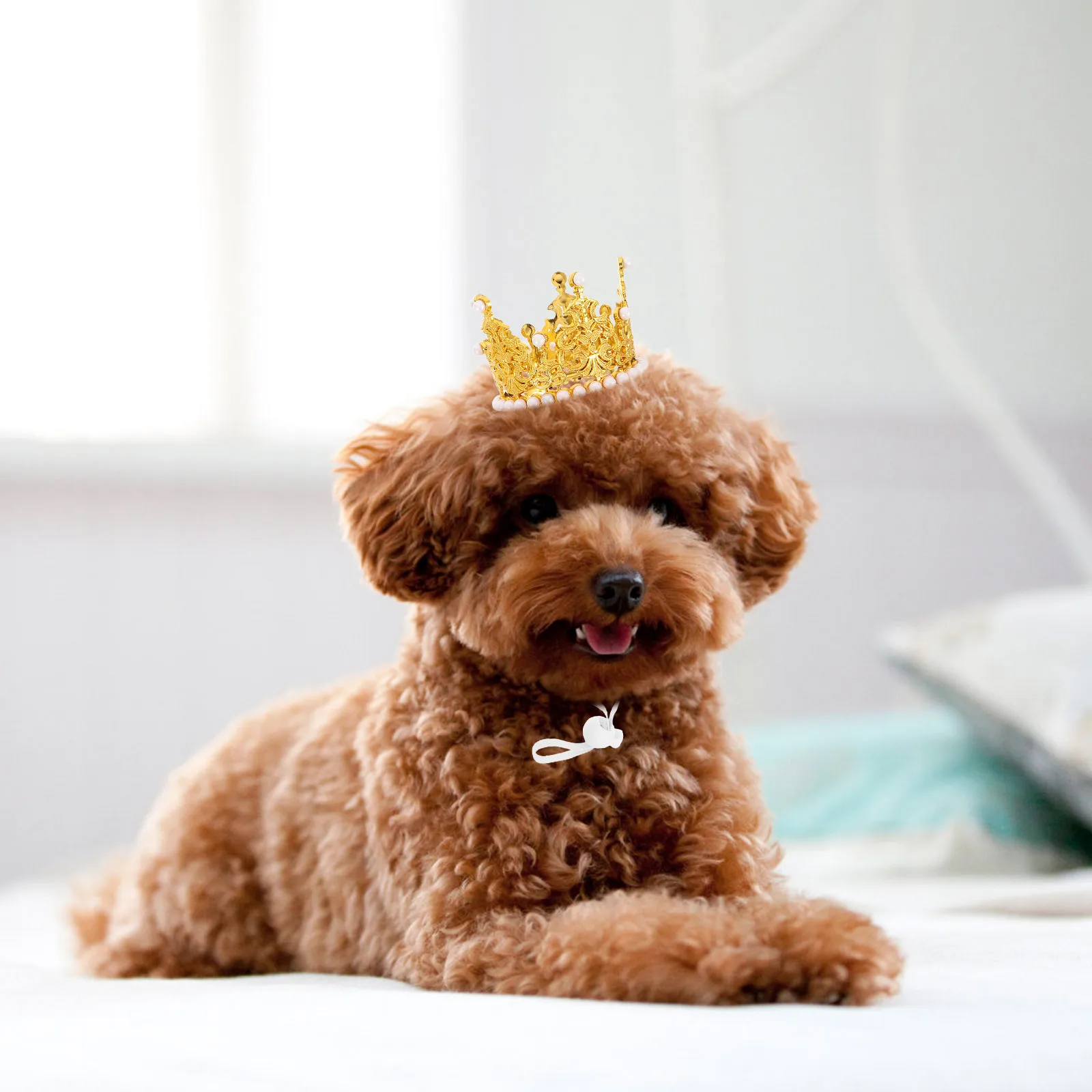 

2Pcs Adjustable Pet Birthday Crown Glitter Party Hat Tiara Headband for Small Dogs Cats Photo Props Cat Party Hat